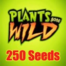 PGW Seeds 250 (Jasa Isi)