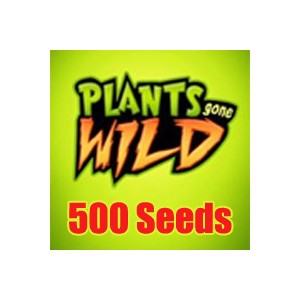 PGW Seeds 500  (Jasa Isi)