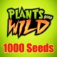 PGW Seeds 1000 (Jasa Isi)