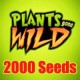 PGW Seeds 2000 (Jasa Isi)